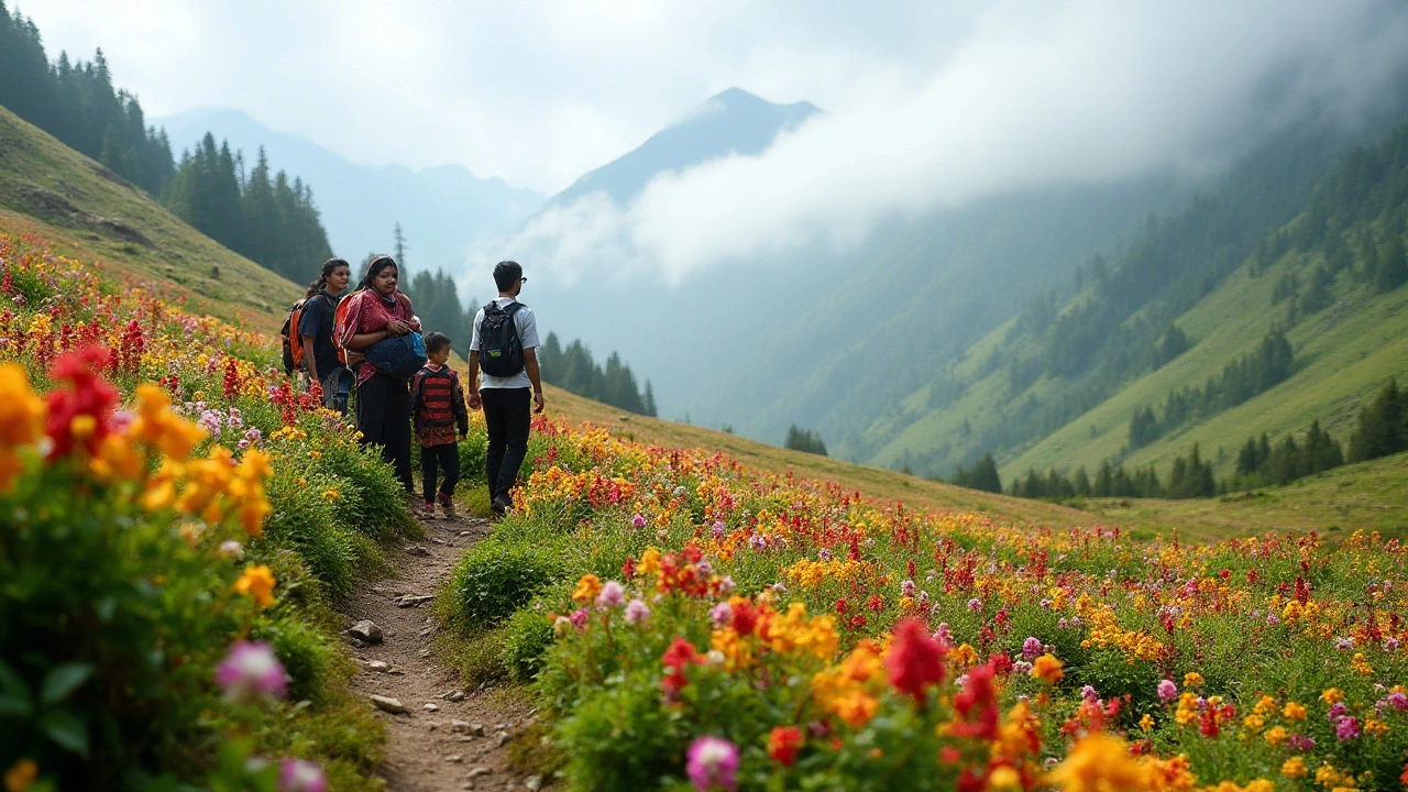 Exploring the Scenic Trails of the Western Ghats