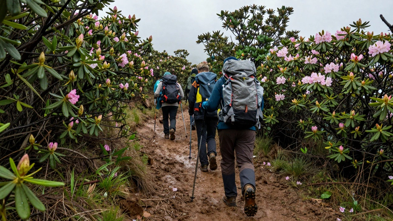 Trekkers hiking a muddy forest trail with rhododendrons.