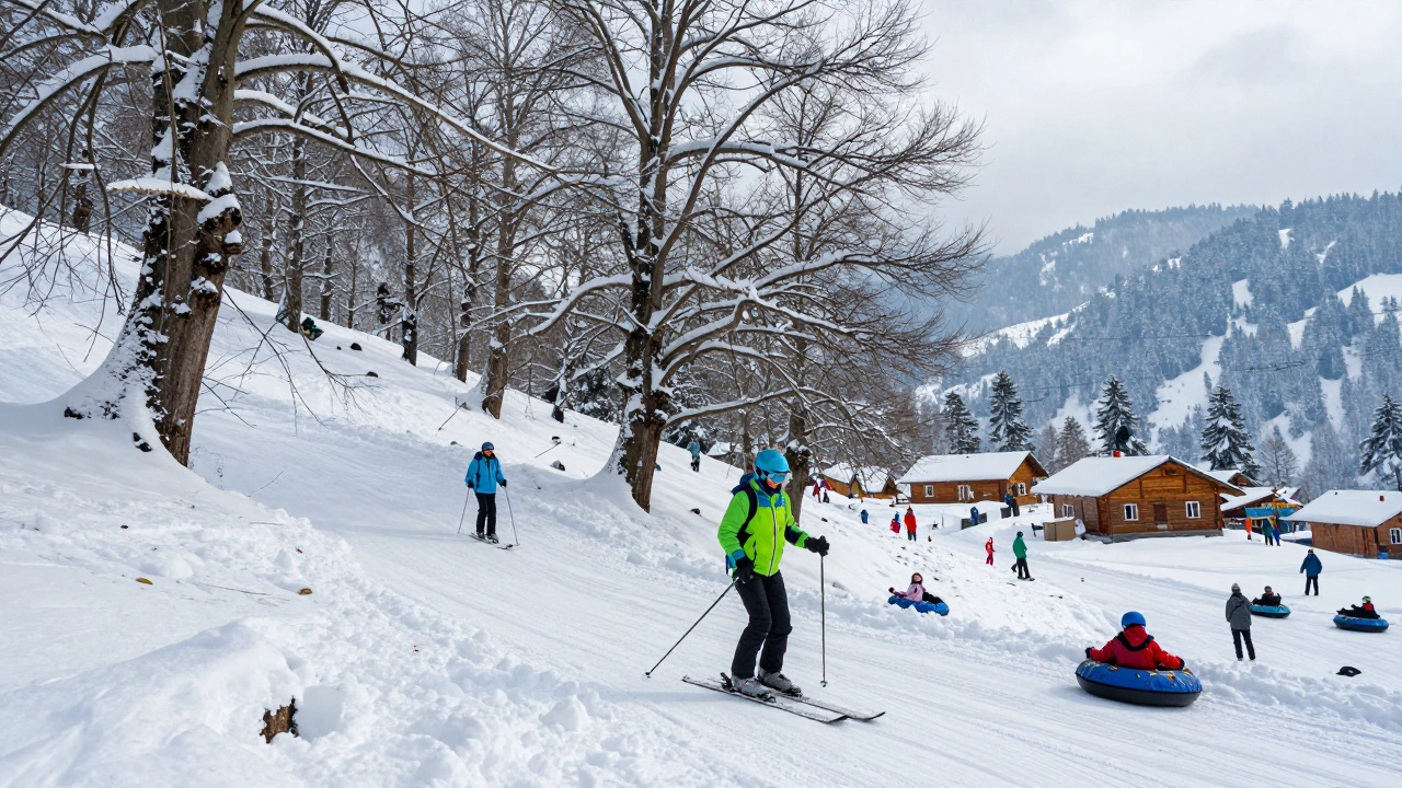 Skier on snowy slope in Solang Valley with winter activities